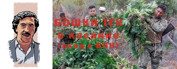 стафф Козловка
