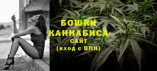 СК Кинешма