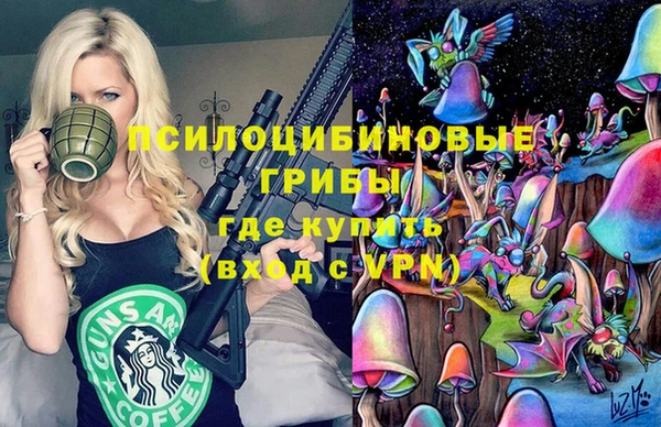 Альфа ПВП Козельск